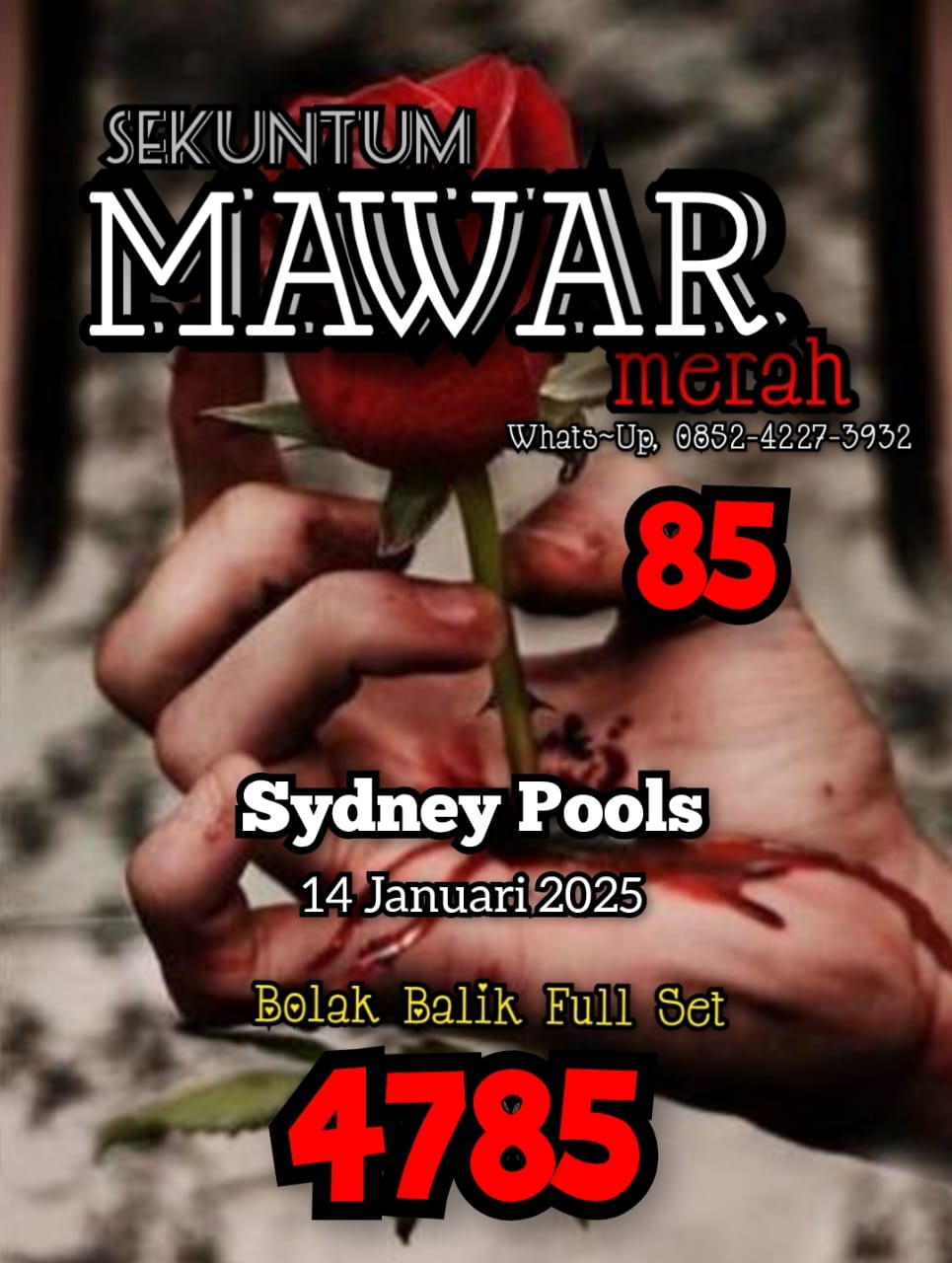 SYAIR SDY VIP